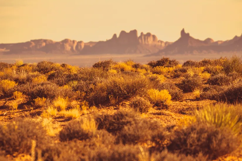 Arizona