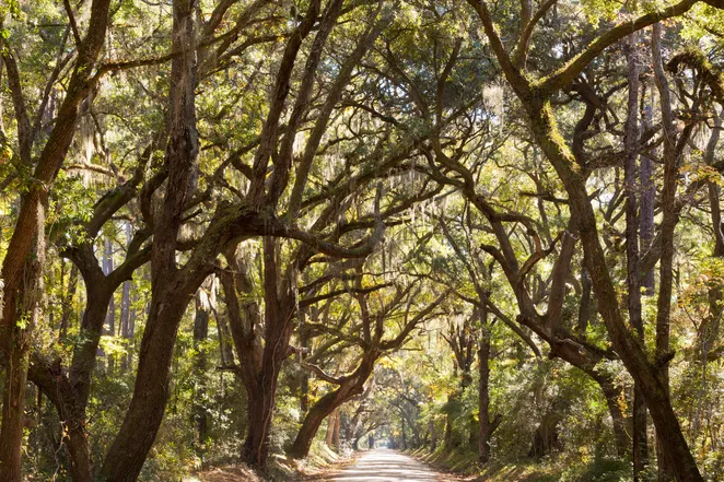 South Carolina